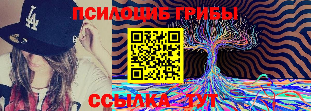 Псилоцибиновые грибы мухоморы Гагарин
